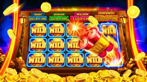 baaji365 comparison style overview of sports interests and mobile entertainment choices